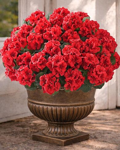 Artificial Flowers for Outdoors – 6 Bundles of UV-Resistant Artificial Geraniums, Realistic Silk Flowers for Front Porch, Patio, Garden, Window Boxes & Hanging Baskets (Red, 6) in Saudi Arabia