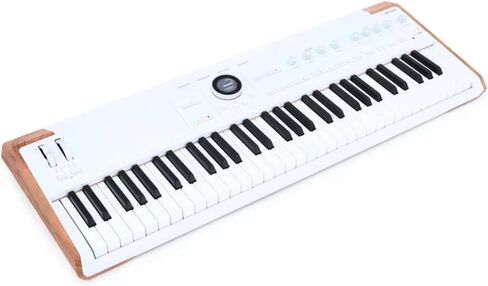 Arturia AstroLab Avant-garde 61-Key Stage Keyboard Bundle w/Pig hog PMID06 6ft MIDI Cable, Liquid Audio Sustain Pedal and Liquid Audio Polishing Cloth in Saudi Arabia