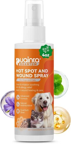 PUAINTA Dog Hot Spot Spray for Itch Relief - Quantum Silver Pet Skin Care in Kuwait