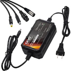 QDD 29.4V 2A Balanced Car and Scooter Charger for 7S 25.9V Lithium Battery Pack with DC 5.5x2.1mm and Connection Interface Conversion 3P-XLR/ 3P-GX16/1-Prong RCA(DC 8MM)/DC 5.5x2.5mm