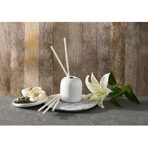 Westin Hotels - White Tea Scent Sticks - Aromatherapy Diffuser - Set of 5 Biodegradable, pre-Scented Sticks