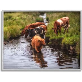 Stupell Industries Rural Cattle Enjoying Stream Water Between Grassland Framed Wall Art, Design By James Dobson