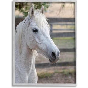 Stupell Industries Elegant White Spotted Horse Rural Country Farm Framed Wall Art, Design By Daphne Polselli