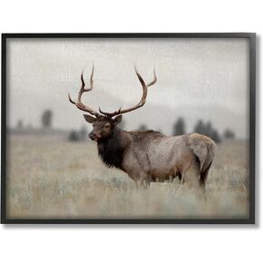 Stupell Industries Tranquil Elk Deer Grazing Rural Farmland Field Framed Wall Art, Design by Danita Delimont