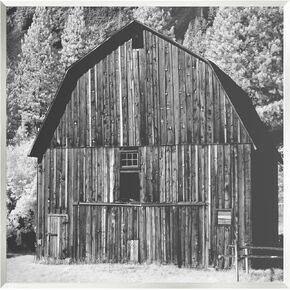 Stupell Industries Rustic Rural Barn Black & White Farm Photography Wood Wall Art, Design By Daphne Polselli