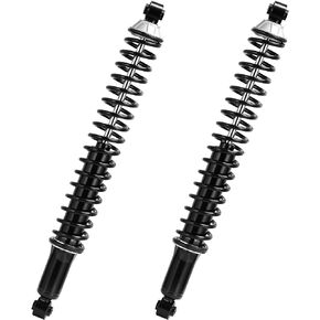 AUTOSAVER88 Rear Load Shocks and Strut Compatible with 2002-2010 Dodge Ram 1500
