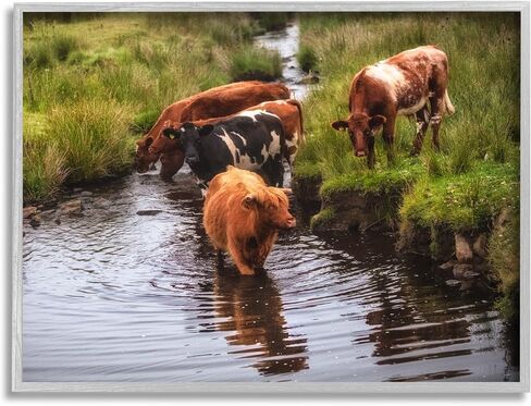 Stupell Industries Rural Cattle Enjoying Stream Water Between Grassland Framed Wall Art, Design By James Dobson in Saudi Arabia