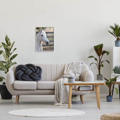 Stupell Industries Elegant White Spotted Horse Rural Country Farm Framed Wall Art, Design By Daphne Polselli in Saudi Arabia