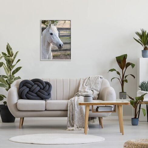 Stupell Industries Elegant White Spotted Horse Rural Country Farm Framed Wall Art, Design By Daphne Polselli in Saudi Arabia