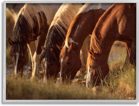 Stupell Industries Sunlit Horses Drinking Water Wildlife Nature Scene Framed Wall Art, Design By Jan Walters in Saudi Arabia