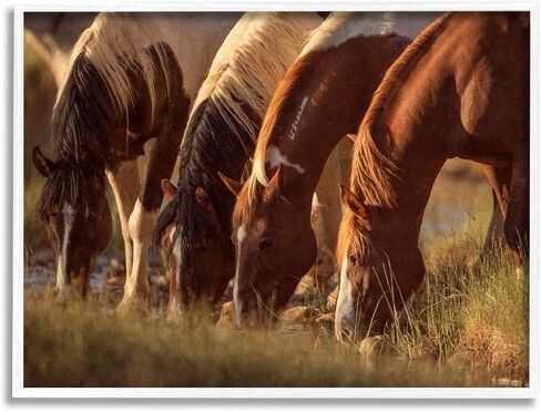 Stupell Industries Sunlit Horses Drinking Water Wildlife Nature Scene Framed Wall Art, Design By Jan Walters in Saudi Arabia