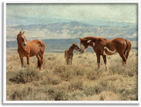 Stupell Industries Heartening Horse Foal Family Scenic Mountain Clouds Framed Wall Art, Design By Jan Walters in Saudi Arabia