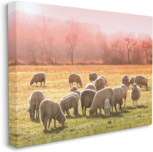 Stupell Industries Sheep Herd Grazing Warm Pink Sunset Rural Grassland Canvas Wall Art, Design By Daphne Polselli in Saudi Arabia