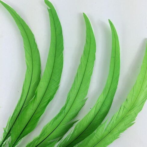 KOLIGHT Set of 100pcs 12~14inch Natural Rooster Coque Tail Feathers for DIY Home Wedding Party Office Decoration (Black) in Saudi Arabia