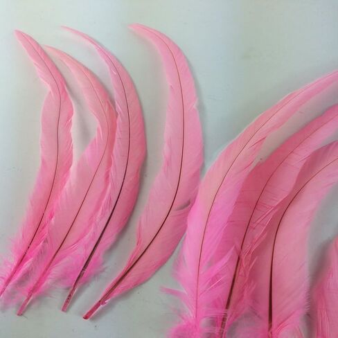 KOLIGHT Set of 100pcs 12~14inch Natural Rooster Coque Tail Feathers for DIY Home Wedding Party Office Decoration (Black) in Saudi Arabia