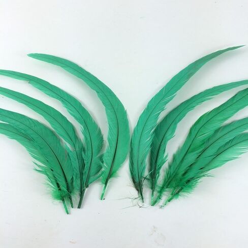 KOLIGHT Set of 100pcs 12~14inch Natural Rooster Coque Tail Feathers for DIY Home Wedding Party Office Decoration (Black) in Saudi Arabia