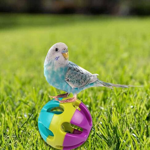 YILUXIANGYANG 4 Pcs Pet Parrot Toy Colorful Bird Bell Ball Plastic Ball with Bell for Hamster Cat Parrot Dog Rabbit Chase Game in Kuwait