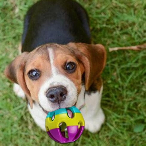 YILUXIANGYANG 4 Pcs Pet Parrot Toy Colorful Bird Bell Ball Plastic Ball with Bell for Hamster Cat Parrot Dog Rabbit Chase Game in Kuwait