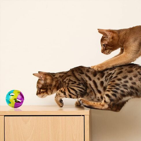 YILUXIANGYANG 4 Pcs Pet Parrot Toy Colorful Bird Bell Ball Plastic Ball with Bell for Hamster Cat Parrot Dog Rabbit Chase Game in Kuwait