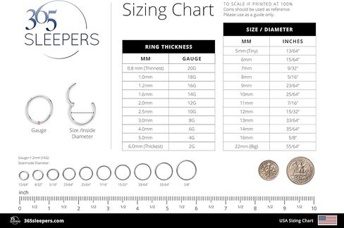 365 Sleepers 16G Titanium 8mm 10mm Double Gem Hinged Segment Ring Helix Tragus Septum Clicker Nose Lip Huggie Hoop Earring Body Piercing Jewelry in Saudi Arabia