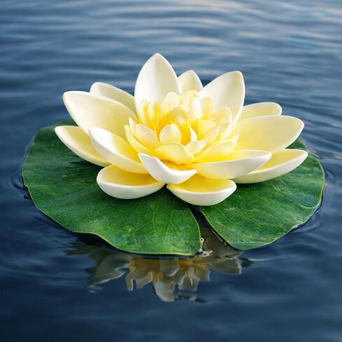 12PCS Artificial Floating Lily Pads Set, 8 Realistic Lily Pads, 2 Lotus Flowers & 2 Floating Frogs, Pond Pool Fountain Water Feature Decorations in Saudi Arabia