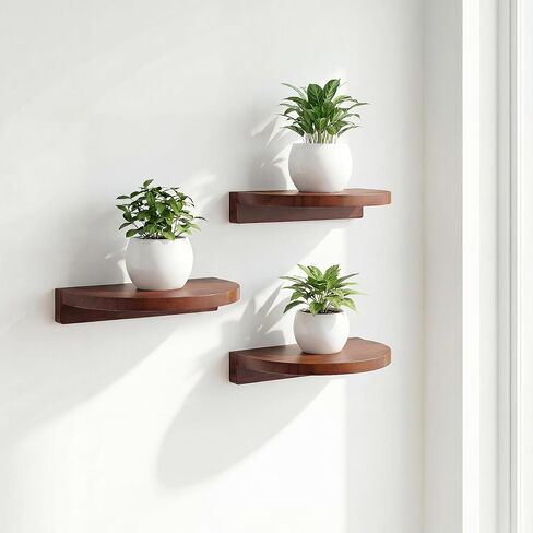 Round Small Floating Shelves,Mini Wall Shelf for Speaker Plants Storage Display Set of 2,Solid Wood Ledges Elegant for Living Rooms Bedroom Bathroom Offices Home Decor,8-inch Diameter,Walnut in Kuwait