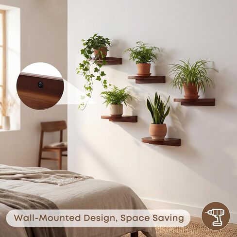 Round Small Floating Shelves,Mini Wall Shelf for Speaker Plants Storage Display Set of 2,Solid Wood Ledges Elegant for Living Rooms Bedroom Bathroom Offices Home Decor,8-inch Diameter,Walnut in Kuwait