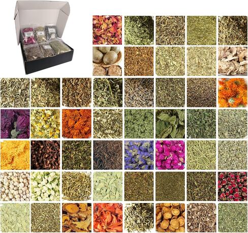 50 Pcs Premium Witchcraft Herbs Collection, Ultimate Dried Flowers Apothecary Kit for Advanced Wicca, Pagan Spells, Divination & Grimoire Restock (10g/Bag) in Saudi Arabia