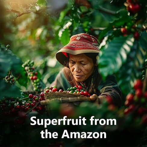 مسحوق Camu Camu - 448% فيتامين C يوميًا، 100% فاكهة أمازون فائقة الجودة غير معدلة وراثيًا، نباتية، باليو وخالية من الغلوتين، 3 أونصة in Kuwait