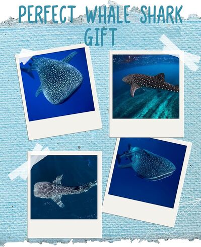 هدايا InnoBeta Whale Shark - جوارب لمحبي قرش الحوت للجنسين in Saudi Arabia