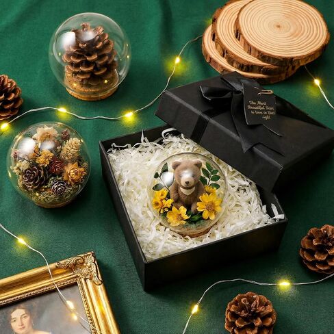 Eorbow 9 Pack Round Glass Cloche Display Dome, 2.6 Inch Decorative Glass Bell Jar, Small Globe Display Cases with Cork Base for Christmas Party Favor, Plants, Fairy Lights, Table Decors in Kuwait