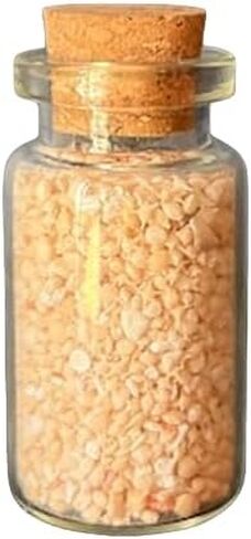 Japan Star Sand, Rare Okinawa Star Sand Jar, Star Shaped Sand, Japan Beach Sand, Sun Sand, Living Fossil Shell Sand, Oddities, Curiosities, Ethically Sourced in Saudi Arabia