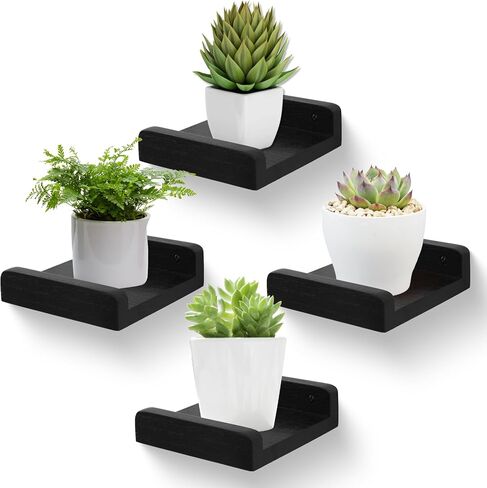 PHOENANCEE Small Wall Shelves,Mini Floating Shelf with Lip,Display Ledge,Speaker Shelf Set of 2 for Picture Frames Plants Decorative for Living Room Kitchen Bedroom,Wood,5 Inch,Carbonized Black in Kuwait