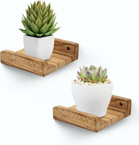 PHOENANCEE Small Wall Shelves,Mini Floating Shelf with Lip,Display Ledge,Speaker Shelf Set of 2 for Picture Frames Plants Decorative for Living Room Kitchen Bedroom,Wood,5 Inch,Carbonized Black in Kuwait