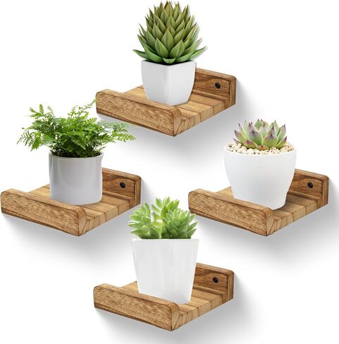 PHOENANCEE Small Wall Shelves,Mini Floating Shelf with Lip,Display Ledge,Speaker Shelf Set of 2 for Picture Frames Plants Decorative for Living Room Kitchen Bedroom,Wood,5 Inch,Carbonized Black in Kuwait