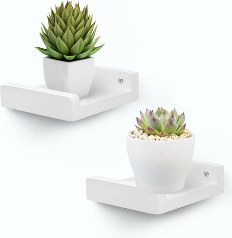 PHOENANCEE Small Wall Shelves,Mini Floating Shelf with Lip,Display Ledge,Speaker Shelf Set of 2 for Picture Frames Plants Decorative for Living Room Kitchen Bedroom,Wood,5 Inch,Carbonized Black in Kuwait