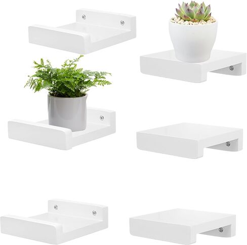 PHOENANCEE Small Wall Shelves,Mini Floating Shelf with Lip,Display Ledge,Speaker Shelf Set of 2 for Picture Frames Plants Decorative for Living Room Kitchen Bedroom,Wood,5 Inch,Carbonized Black in Kuwait