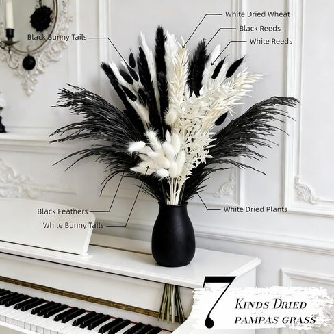 Black and White Pampa Grass Fluffy Dried Feathers Including Bunny Tails Reeds 17inch Dried Flowers for Vase Pompas Floral Arrangements Home Livingroom Wedding Bar Modern Decor (50, Black) in Saudi Arabia