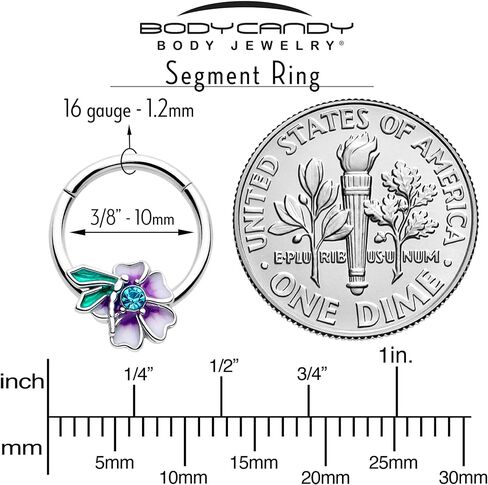 Body Candy 16G 10mm Faerie Flower Purple Cartilage Ring - Stainless Steel Hinged Segment Ring for Septum Cartilage Helix Daith Tragus Conch Ear Lobe Helix Piercings Women Men Hypoallergenic in Kuwait
