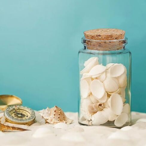 12 Pcs 100ml Mini Glass Bottles, Small Glass Jars with Cork Stoppers Lids, Empty Spell Jars Miniature Potion Bottles Message Wishing Bottle for Wedding Party Favours DIY Crafts Decoration in Saudi Arabia