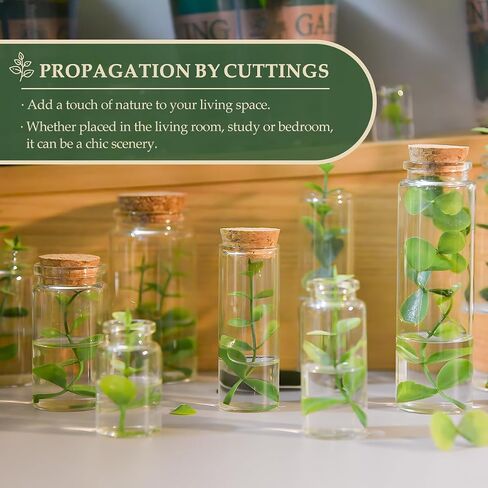 9-Pack 1.7 oz (50 ml) Glass Bottles with Cork Stoppers – for Spell Bottles, Spice Jars, DIY Party Favors, Travel Memories & Plant Propagation – Empty Recyclable Containers for Crafts, Kitchen,Décor in Saudi Arabia