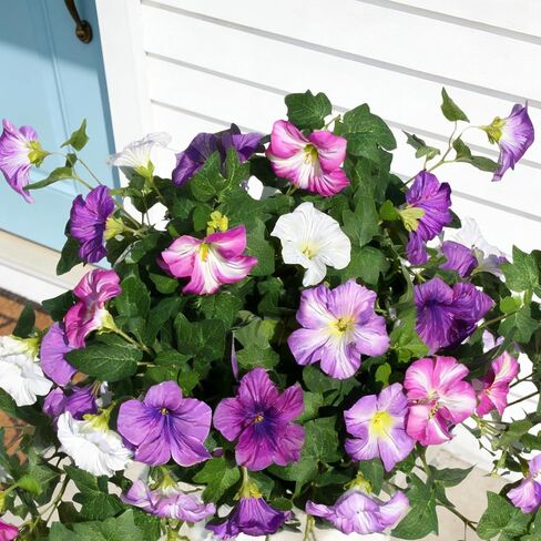 Artificial Fake Flowers Plants for Outdoor UV Resistant, 2PCS Silk Faux Petunias No Fade Summer for Outside Planter Front Door Porch Yard Patio Balcony Realistic Decoration Purple White in Saudi Arabia