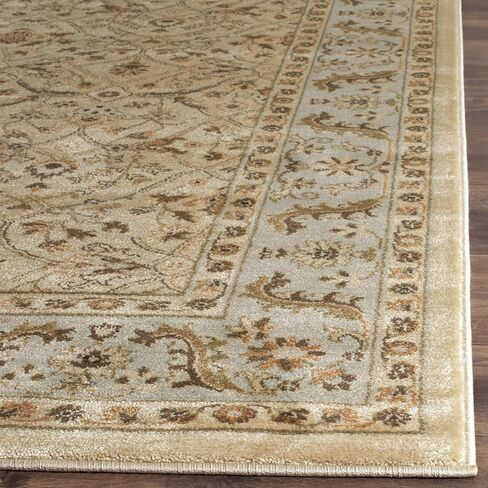 SAFAVIEH Florenteen Collection 5'1" x 7'7" Ivory/Grey FLR126 Traditional Oriental Non-Shedding Living Room Bedroom Area Rug in Kuwait