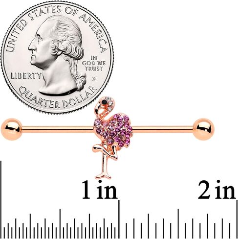 Body Candy Womens 14G PVD Surgical Steel Helix Cartilage Earring Rosy Pink Flamingo Barbell Industrial Earring 1 1/2" in Kuwait