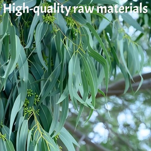 Dried Eucalyptus Leaves - 4oz (114g) Whole Leaf | Resealable Pouch | Botanical Ingredient for Aromatherapy & Tea Blends | Caffeine-Free Plant Material in Saudi Arabia