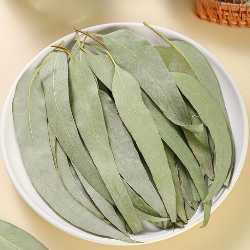 Dried Eucalyptus Leaves - 4oz (114g) Whole Leaf | Resealable Pouch | Botanical Ingredient for Aromatherapy & Tea Blends | Caffeine-Free Plant Material in Saudi Arabia