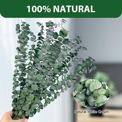 18 Pcs Real Dried Eucalyptus Stems,17" Natural Eucalyptus Branches for Shower to Release Fragrance, Vase Filler, Bathroom Decor, Dried Flower Arrangement in Saudi Arabia