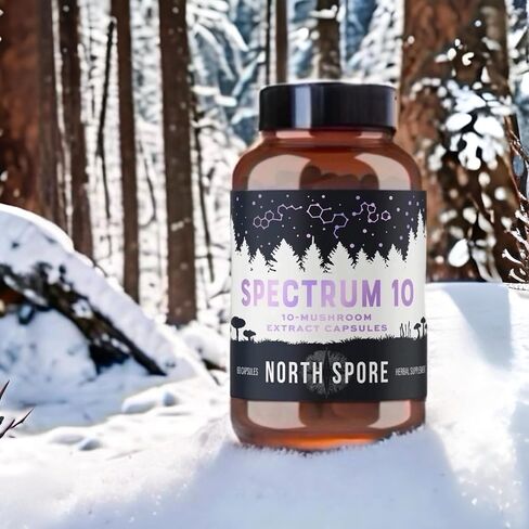 North Spore Organic 'Spectrum 10' High Potency Mushroom Capsules | Cognitive Supplement | Lion's Mane, Chaga, Cordyceps, Reishi, Turkey Tail | 10 Medicinal Mushrooms | Energy, Focus, Clarity - 60ct in Saudi Arabia
