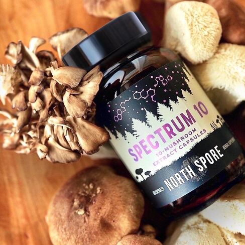 North Spore Organic 'Spectrum 10' High Potency Mushroom Capsules | Cognitive Supplement | Lion's Mane, Chaga, Cordyceps, Reishi, Turkey Tail | 10 Medicinal Mushrooms | Energy, Focus, Clarity - 60ct in Saudi Arabia