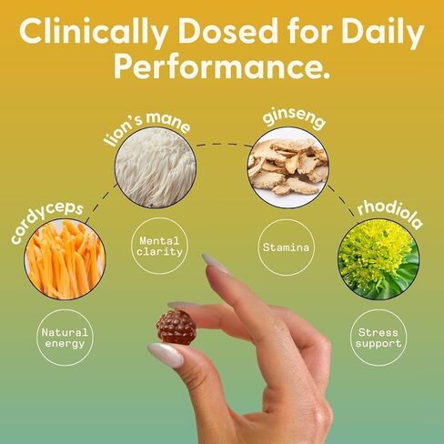 SuperMush Daily Energy Mushroom Gummies - Organic Lion’s Mane & Cordyceps Mushroom for Energy, Focus, Stress Reduction - Vegan, Sugar Free Nootropic Gummies - Functional Mushroom Supplement (10 Count) in Saudi Arabia